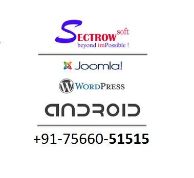 Web development Indore USA