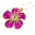 Hay Fever Diary Pro Download on Windows