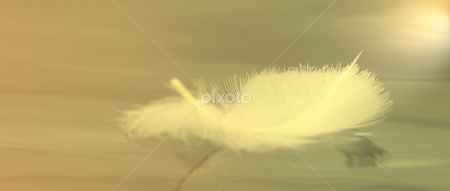 by Gerry Morgan - Landscapes Waterscapes