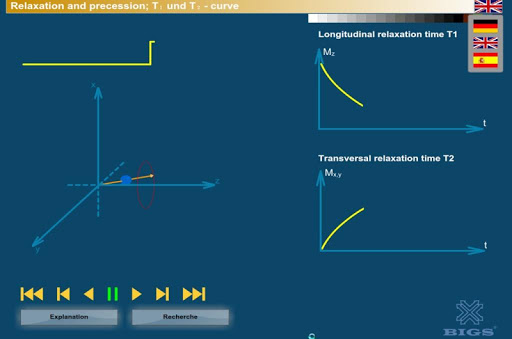 【免費醫療App】NMR - Relaxation + precession-APP點子