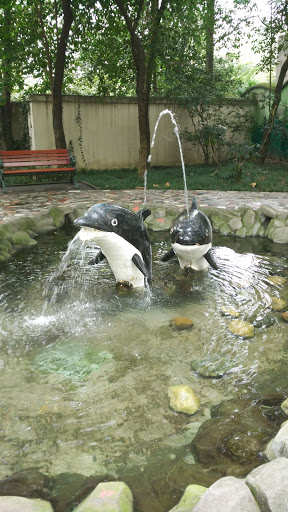 海豚戏水