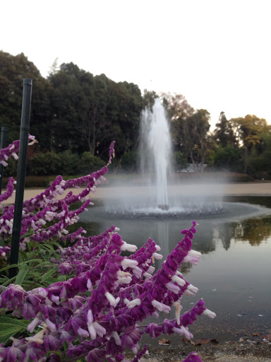 京都府立植物園 噴水