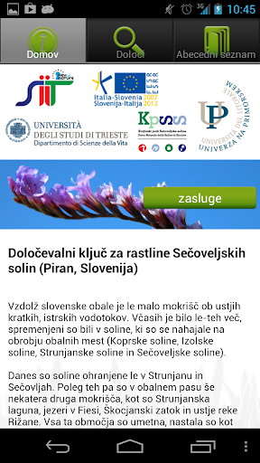 Sečoveljskih solin Piran
