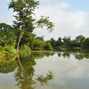 by Dewan Wahyudi - Nature Up Close Other Natural Objects