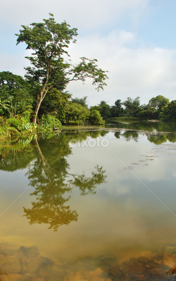 by Dewan Wahyudi - Nature Up Close Other Natural Objects