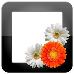 PhotoFrames Pro apk