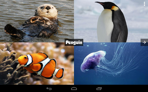 【免費教育App】Ocean Animals Guessing Game-APP點子