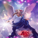 Rose Heavenly Angel LWP