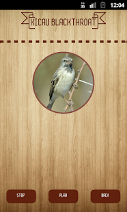 How to install Serinus Atrogularis patch 1.1 apk for android