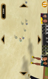 Petanque 2012 Pro poster 2