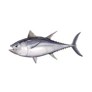 Tuna - The Bagpipe Tuner
