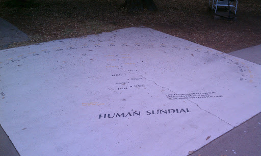 Human Sundial