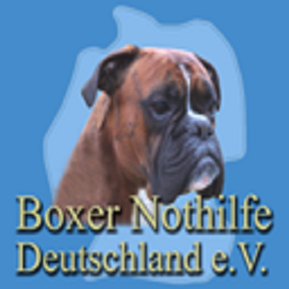 Boxer Nothilfe App