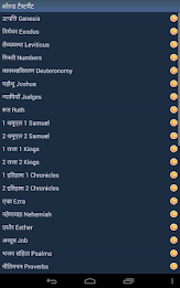 Hindi Holy Bible poster 12