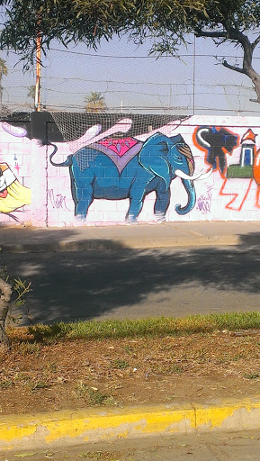 Indu Elephant