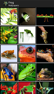 How to install Frogs - HD Wallpapers lastet apk for bluestacks