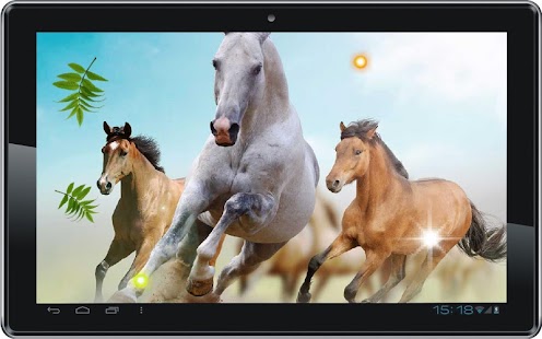 Horses Top HD live wallpaper