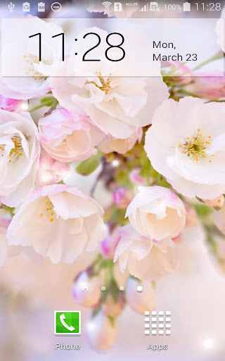 免費下載個人化APP|Sakura Live Wallpaper app開箱文|APP開箱王