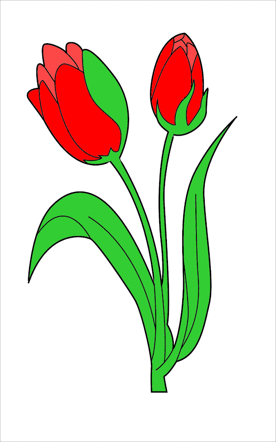 Gambar Membuat Bunga Buku Dunia Kreatif Youtube Gambar di Gambar Membuat Bunga Buku Dunia Kreatif Youtube Gambar di