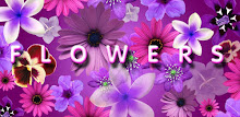 Flowers live wallpaper APK