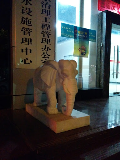 白象