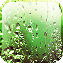 Rain Appling Live Wallpaper mobile app icon