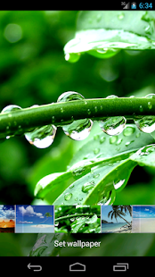 Download Nature 1 - Wallpapers APK