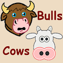 Bulls And Cows Pro