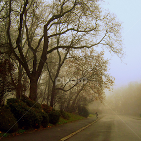 by Tatjana Koljensic - City,  Street & Park City Parks