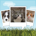 My Talking Pet icon