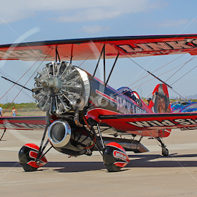 Screamin' Sasquatch by Dave . - Transportation Airplanes