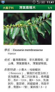 臺灣樹木圖鑑 Screenshots 4