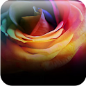 Rainrow Life wallpapers logo