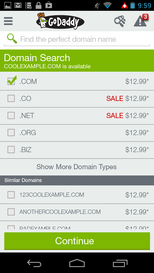 GoDaddy Screen 2