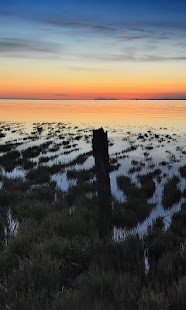 Download Transition Live Wallpaper APK for Android