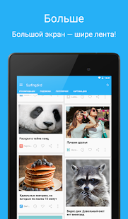 Surfingbird: огненные новости Screenshots 9