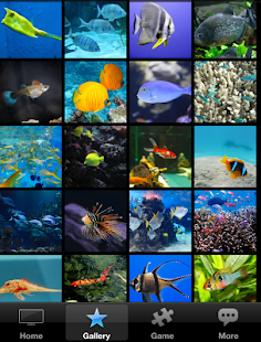 How to get Fish Wallpaper 1.3 unlimited apk for pc
