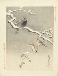 Drie vogels op besneeuwde tak