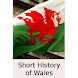 Short History of Wales-Book