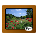 Various Photo Widget Pro logo