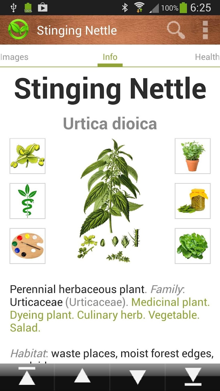 Botaniculum Screen 1