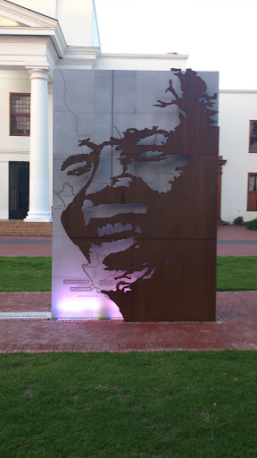 The Face of Mandela