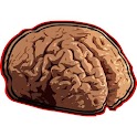 The IQ Test