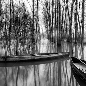 by Paulo Veiga - Black & White Landscapes