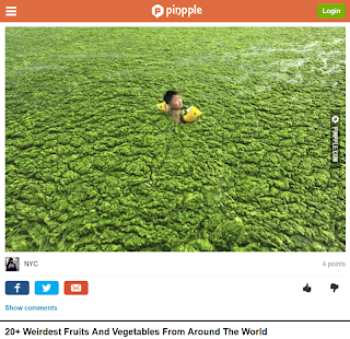 Lastest Viral Stories APK for PC