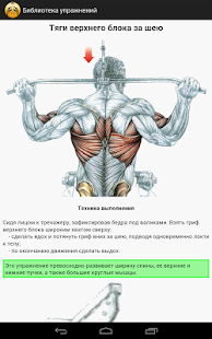 Exercises in the gym - screenshot thumbnail