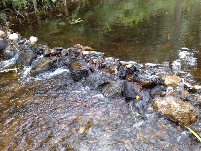 [05082008112318.jpg]