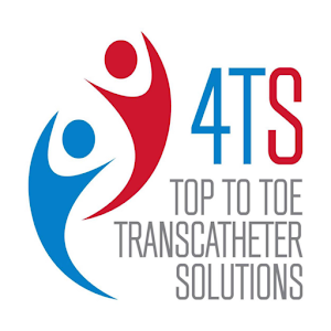 4TS 2015 v2.6.3.6