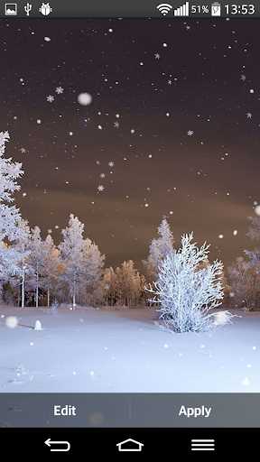 Winter Forest Live Wallpaper