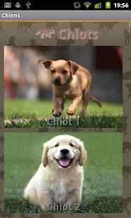 How to get Dog Sounds lastet apk for laptop